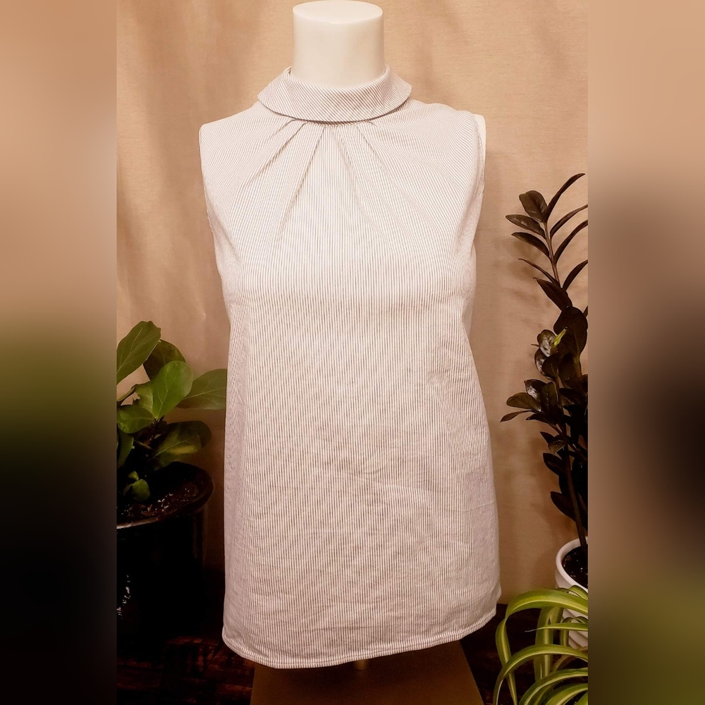Ann Taylor Factory blouse